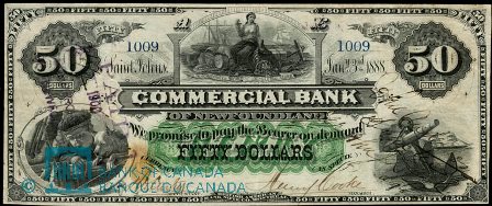 commercial NF 1888 50