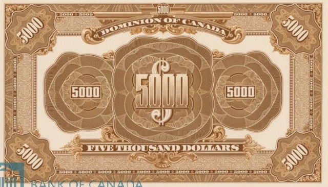 5000 dollar bill back